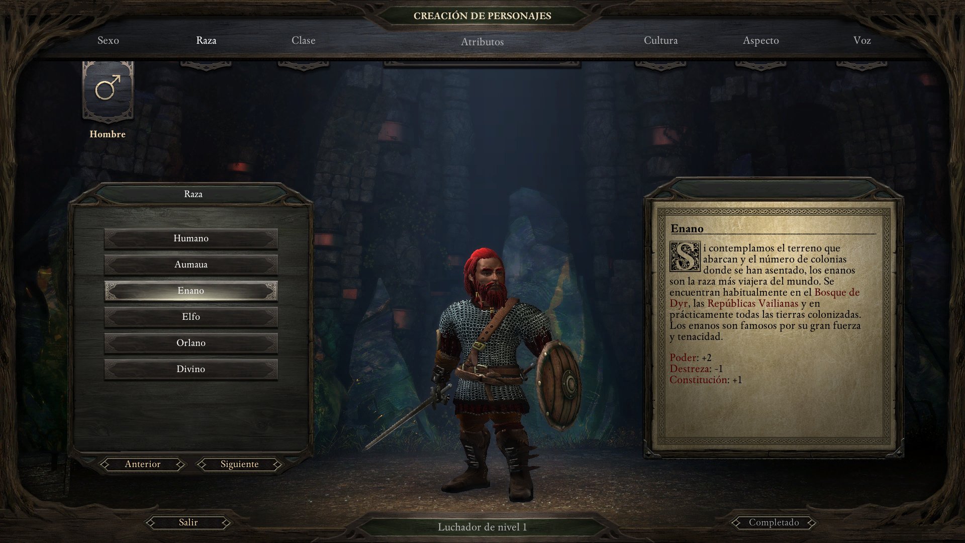 Pillars of Eternity: Complete Edition - Imagen 20